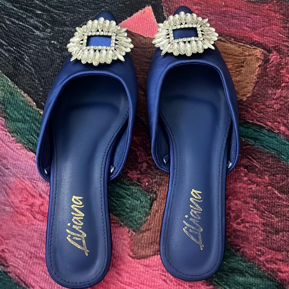 Blue Pointed Flats - Picture 2 of 3